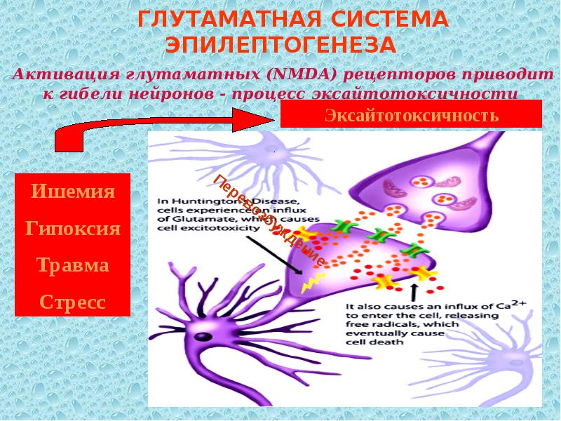 Эпилепсия презентация казакша