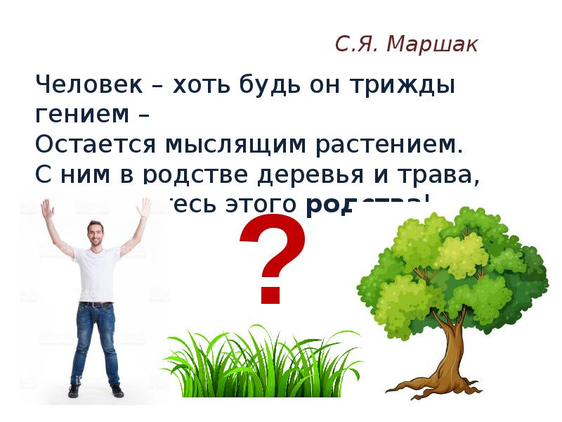 Всегда трижды. Человек хоть будь он трижды гением остается мыслящим растением. • Будь ты хоть трижды гений. Зачем люди трижды обходят деревья. Человек будь он трижды гением когда написано.