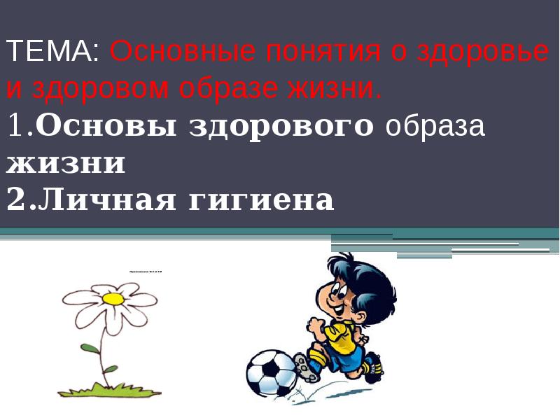 Презентация на тему основы здорового образа жизни