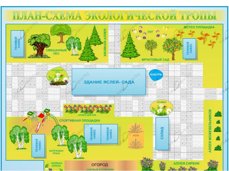 Проект экологическая тропа в детском саду в средней группе