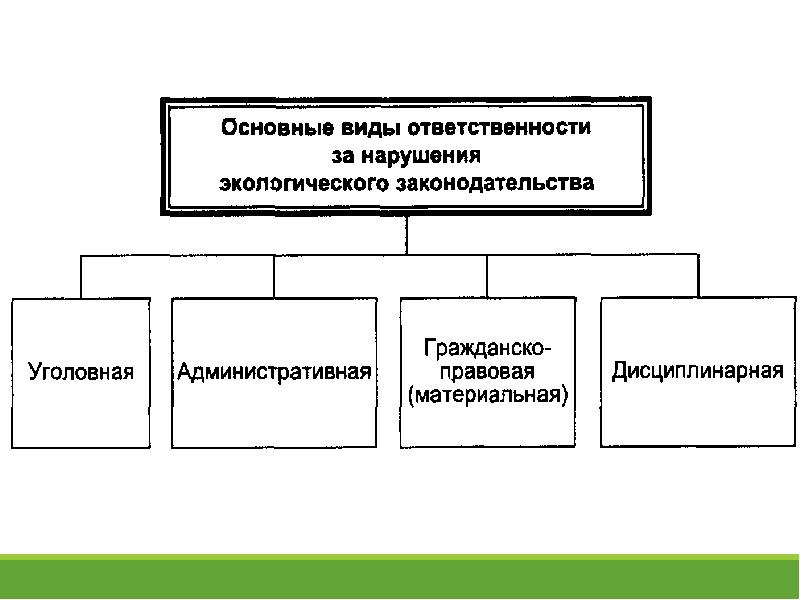 Экологические права и обязанности план