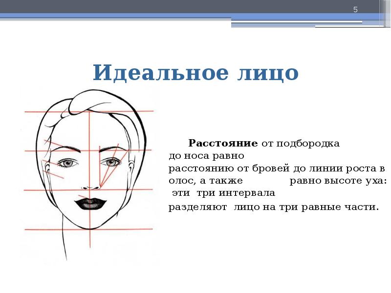 Презентация по законам красоты 6 класс