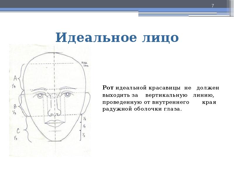 Презентация по законам красоты 6 класс