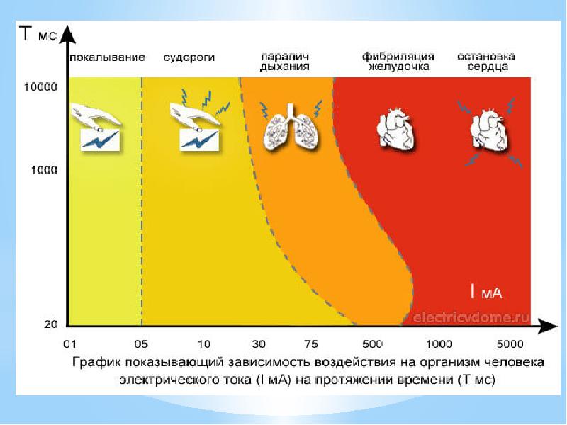 Действие электрического тока на организм человека презентация