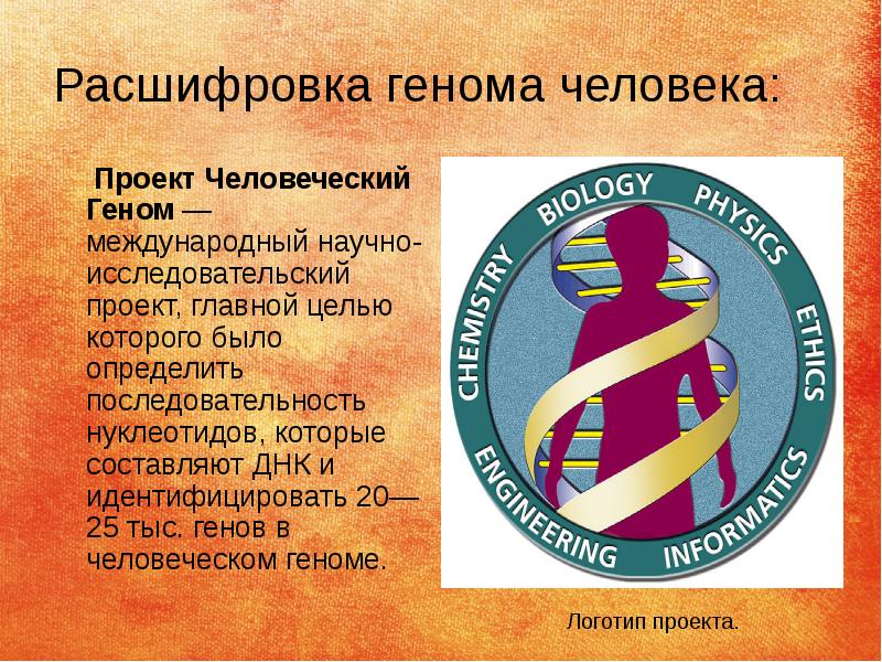 Международный проект геном человека начал работу в году