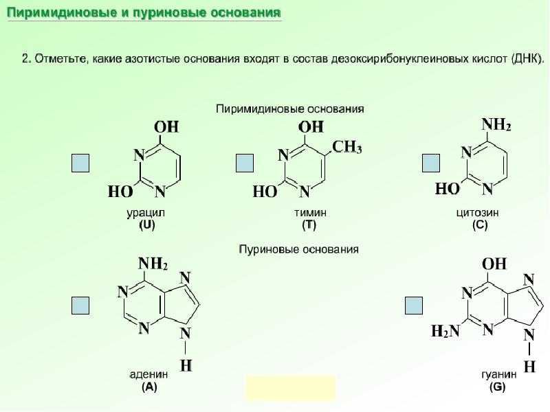 Нуклеиновые кислоты реакции. Структура нуклеиновых кислот химия. Нуклеиновые кислоты 10 класс. Строение нуклеиновых кислот формула. Нуклеиновая кислота с урацилом.