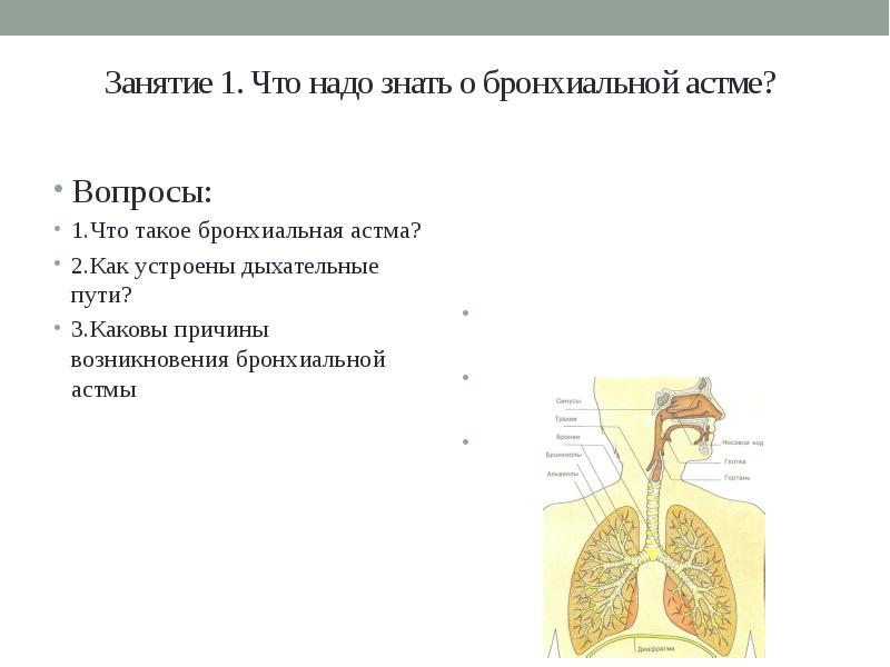 Школа здоровья по бронхиальной астме презентация