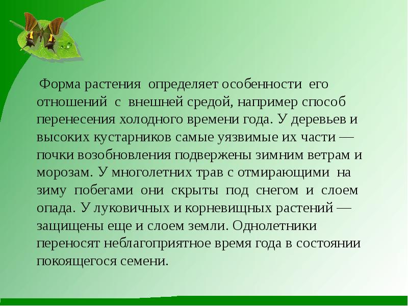 Описание растительного сообщества луг. Что относится к травянистым растениям. Какое определение трава. Какое определение трава. Сегетальные сорняки.