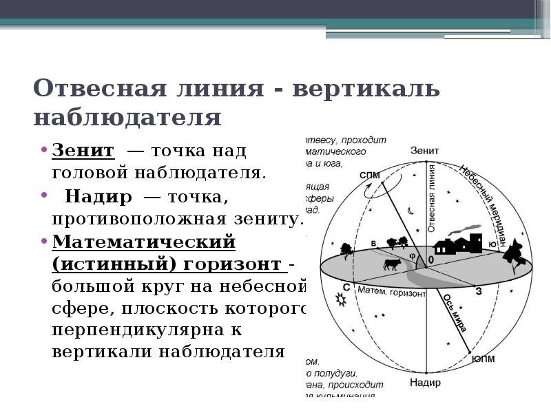 На рисунке показаны основные точки и линии небесной сферы построенные для наблюдения на средних