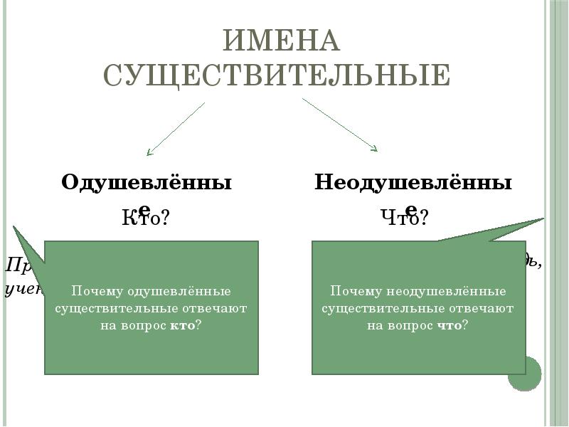 Молодежь одушевленное или неодушевленное