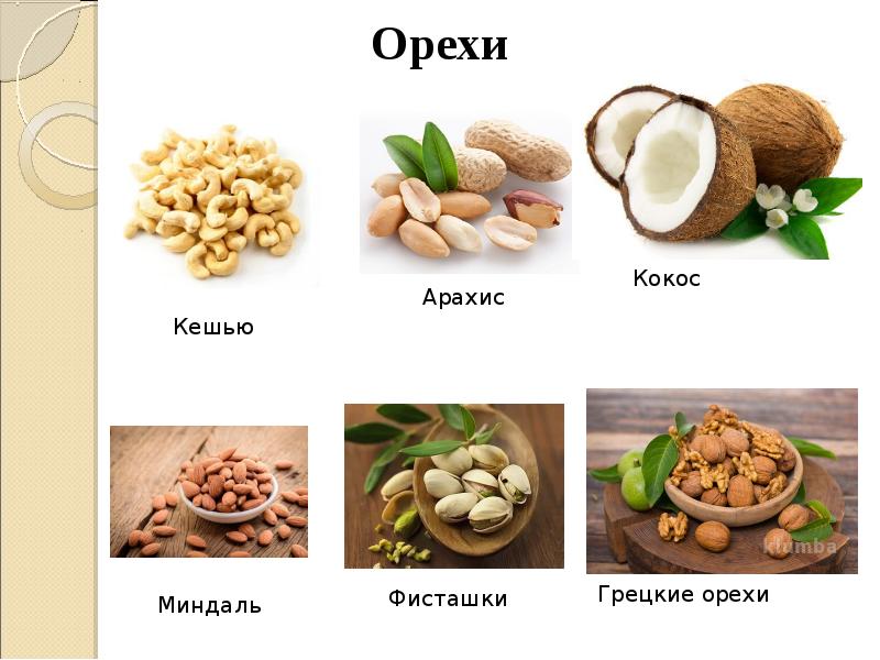 Общая характеристика и классификация культурных растений презентация