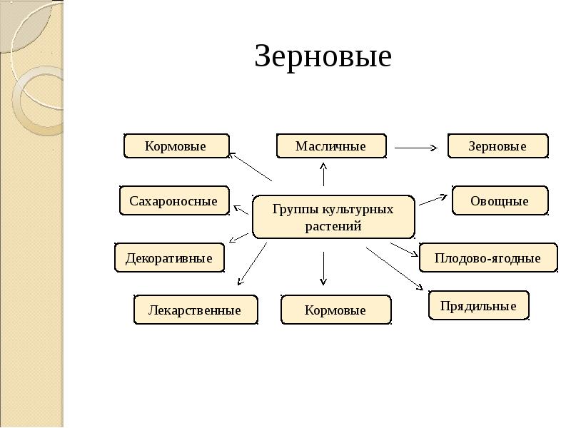 Классификация культурных растений презентация