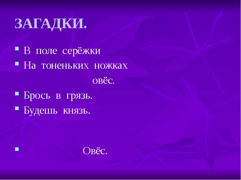 Загадка поле. В поле серёжки на тоненьких ножках. Загадки о поле. Загадка про сережки. Всё поле в серёжках на тоненьких ножках ответ.