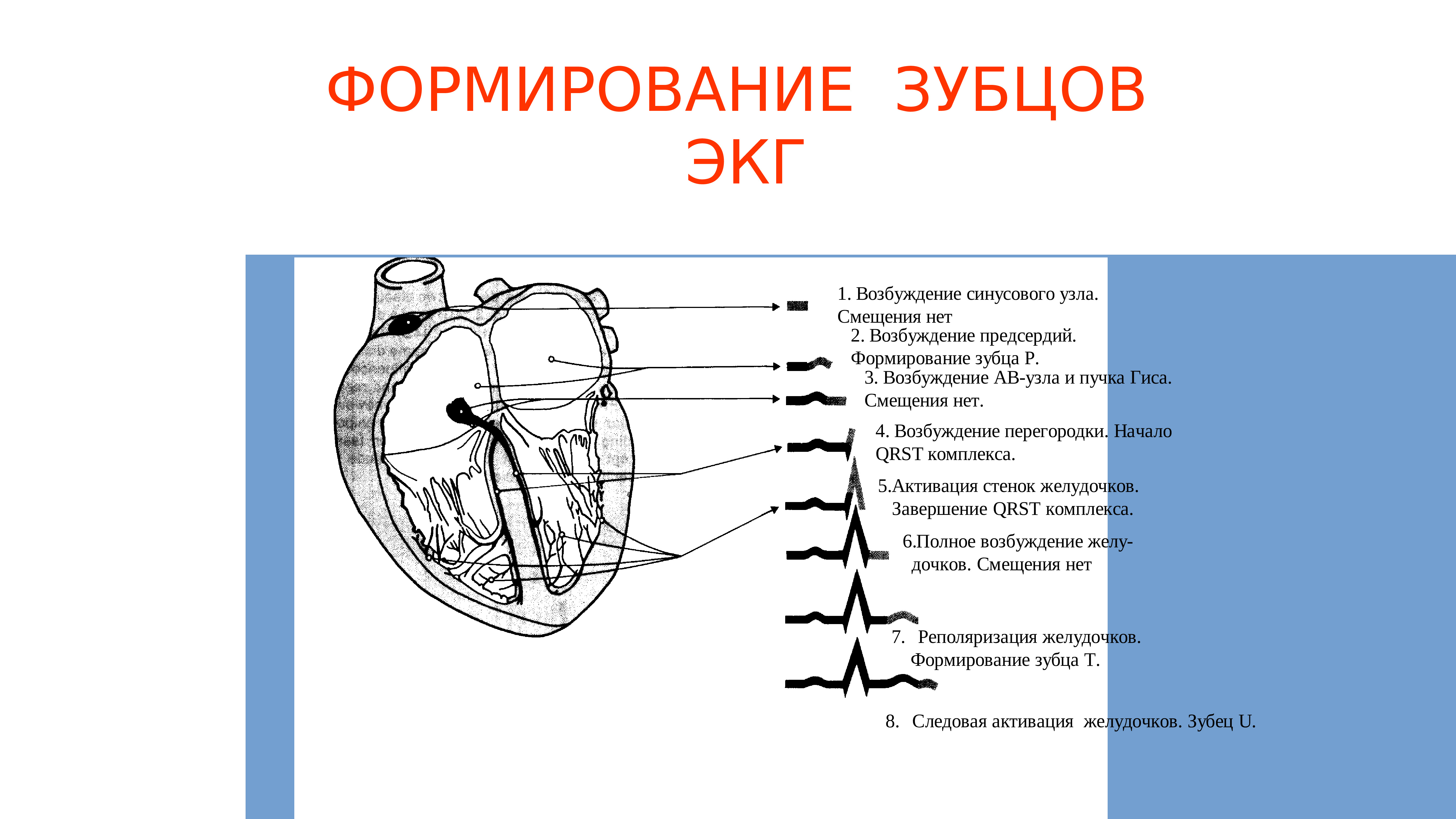 Физические основы электрокардиографии презентация