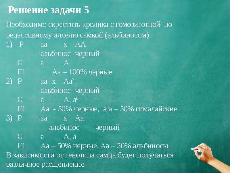 Скрестили гомозиготных черного. Гомозиготного по рецессивному аллелю. Гомозиготную чёрную крольчиху скрестили с белым кроликом.