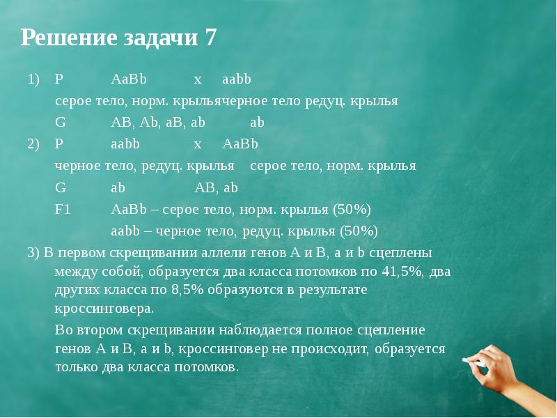 Презентация решение генетических задач 10 класс