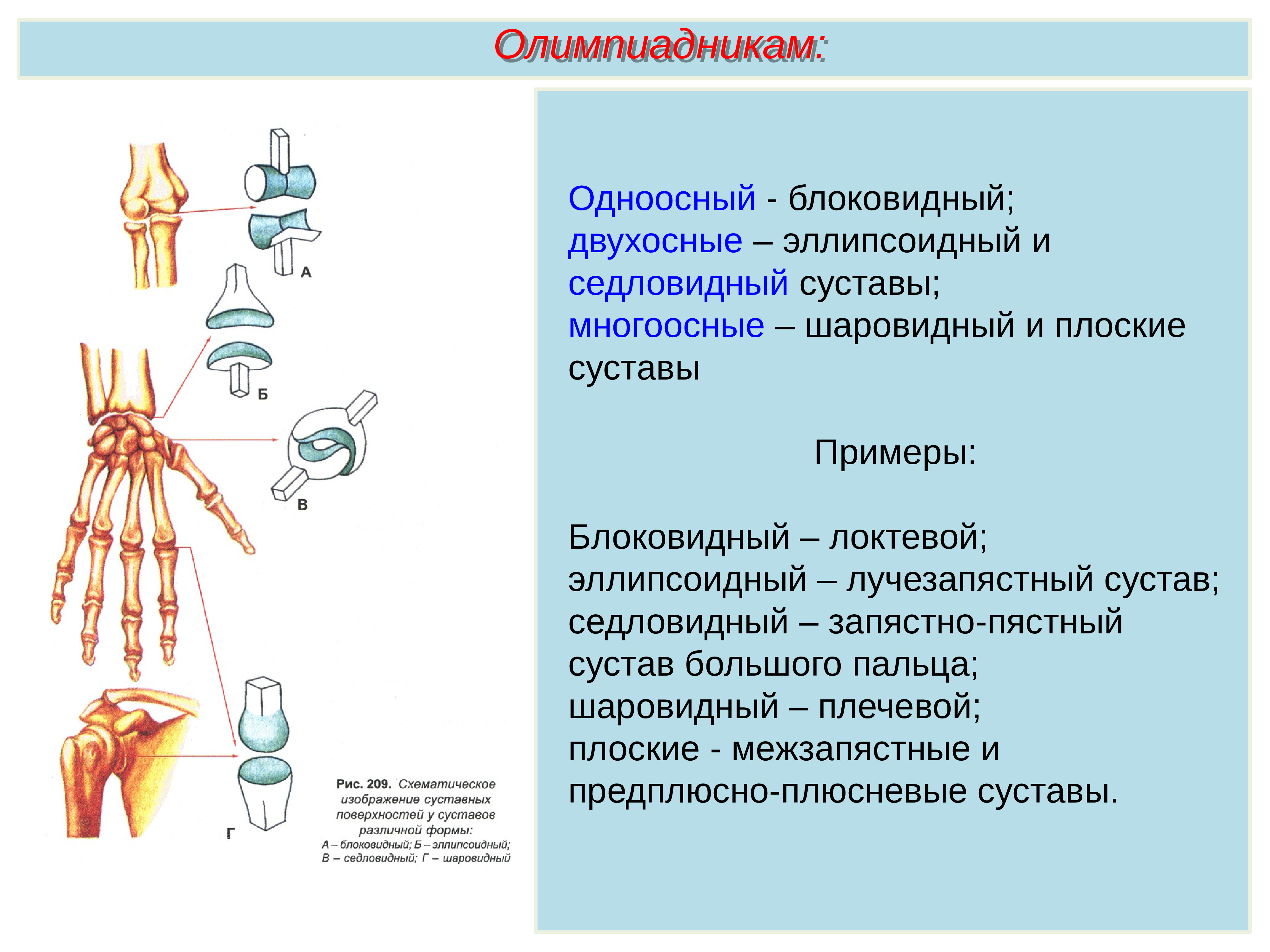 Группы суставов. Блоковидный сустав. Одноосный блоковидный сустав. Блоковидный сустав пример. Эллипсоидный сустав.