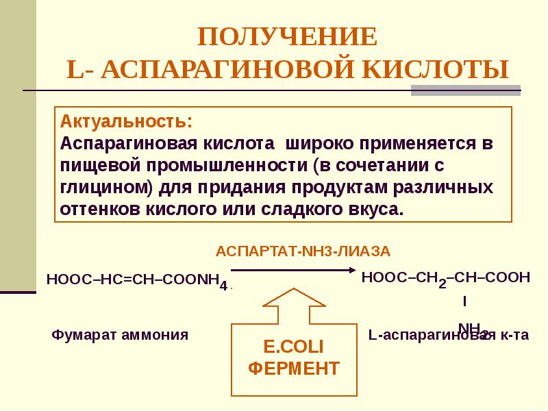 Получение л. Синтез аспарагиновой кислоты. Получение л аспарагиновой кислоты. Получение l аспарагиновой кислоты. Вещества которые имеют белковую природу.