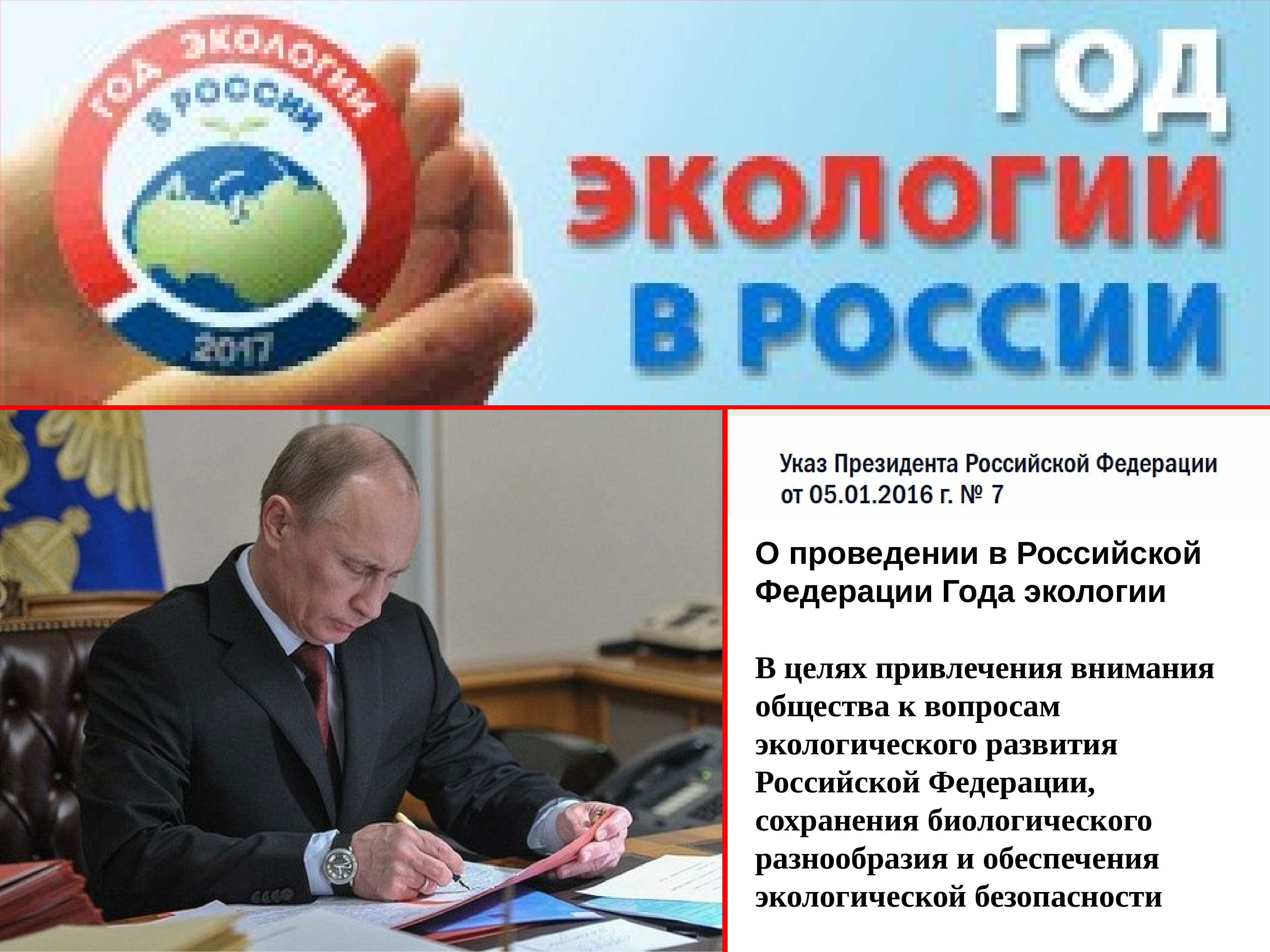 Год экологии. Год экологии в России. 2017 Год год экологии в России. Путин и год экологии. Год экологии в России 2017 указ президента.