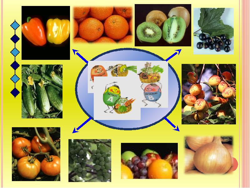 Полезные продукты 1 класс презентация