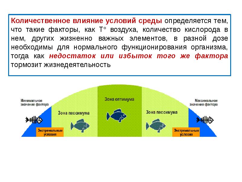 Влияние условий среды. Адаптация человека к условиям среды обитания. Влияние количественного фактора. Как определить количественное влияние факторов. Неадекватные факторы среды.