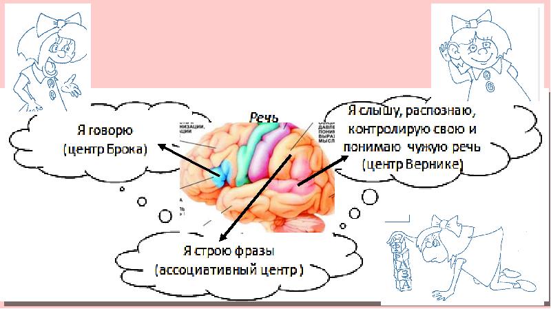 Нервная система пропедевтика презентация