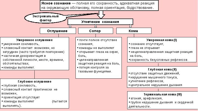 Нервная система пропедевтика презентация