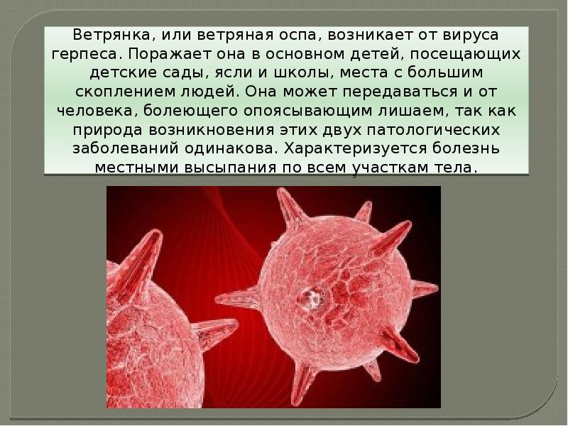 Оспа микробиология презентация