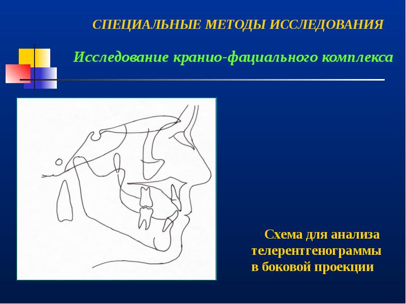 Врожденная патология кранио фациальной области презентация