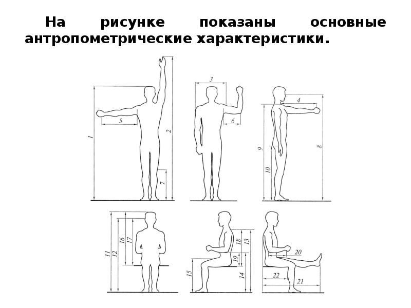 Антропометрические показатели. Антропометрические показатели эргономических свойств. Статические антропометрические характеристики это. Эргономика детской комнаты антропометрические. Динамические антропометрические характеристики это.