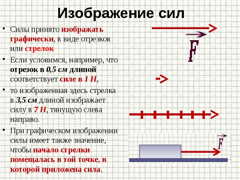 На чертеже силу изображают в виде отрезка