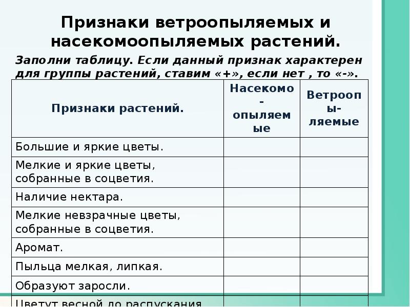 Признаки ветроопыляемых растений