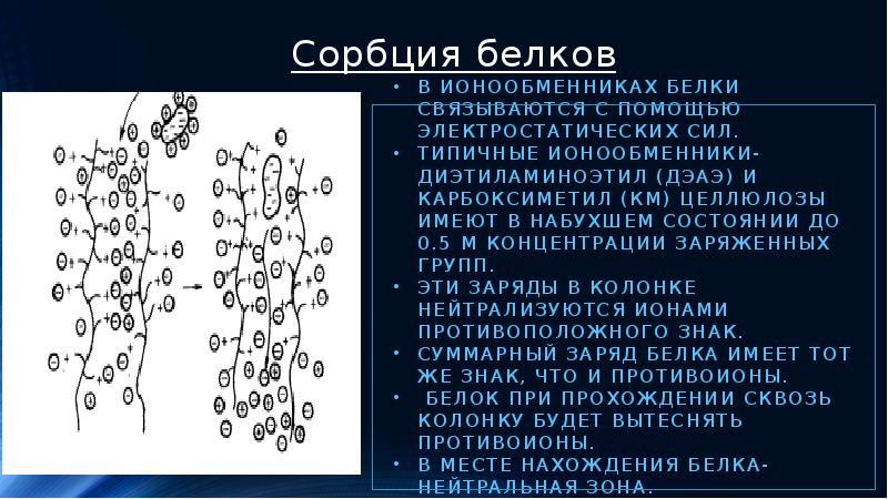 Особенности ионообменных реакций с участием биологически активных веществ