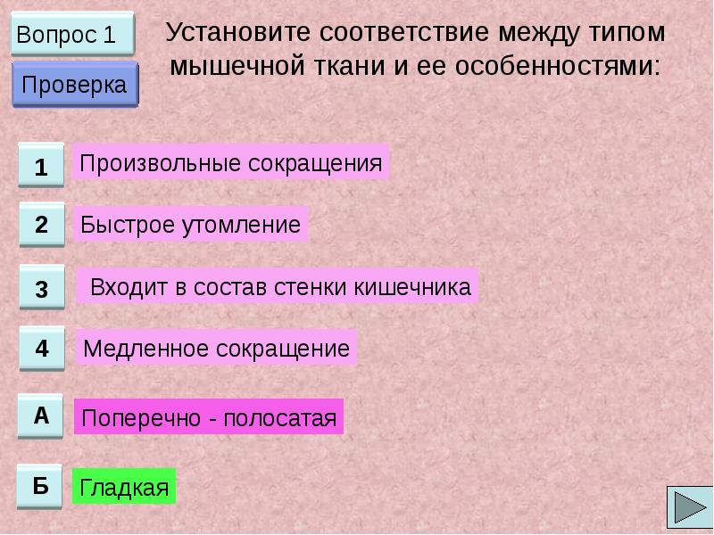 Соответствие между типами. Установите соответствие между типом ткани и тканью. Установите соответствие между видами мышечной ткани. Установите соответствие между видом ткани и мышцей. Соответствие между типом мышечной ткани и ее характеристиками.