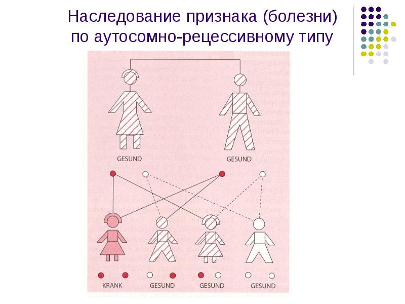 Виды наследования схема