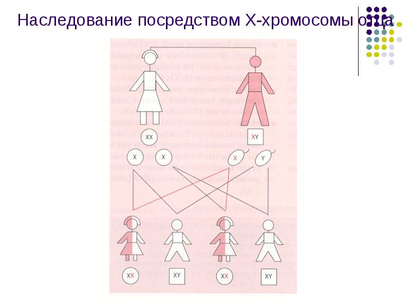 Схема менделеево 4 борис