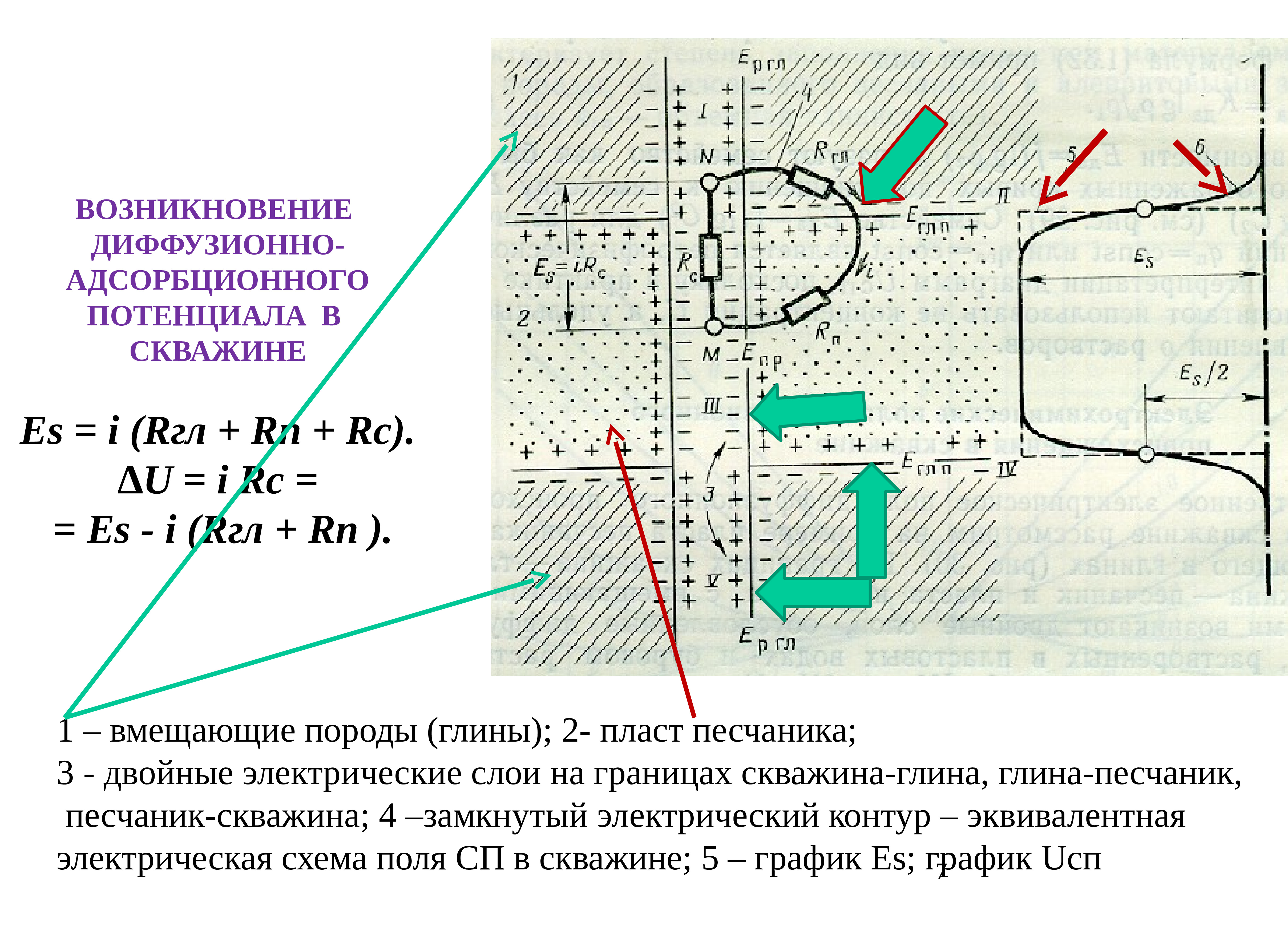 Возникновение диффузионного потенциала