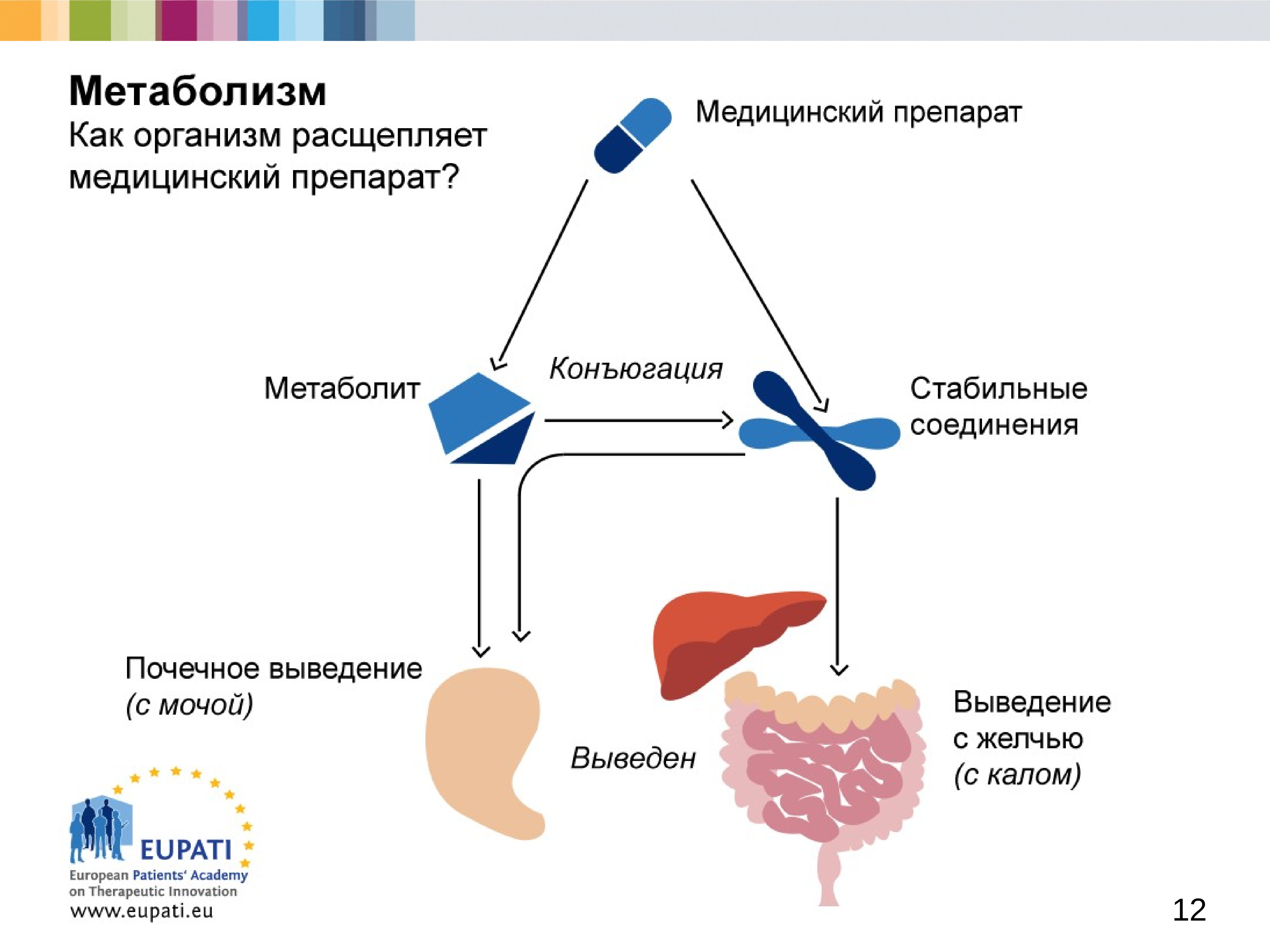 Фармакология настоящее и будущее презентация