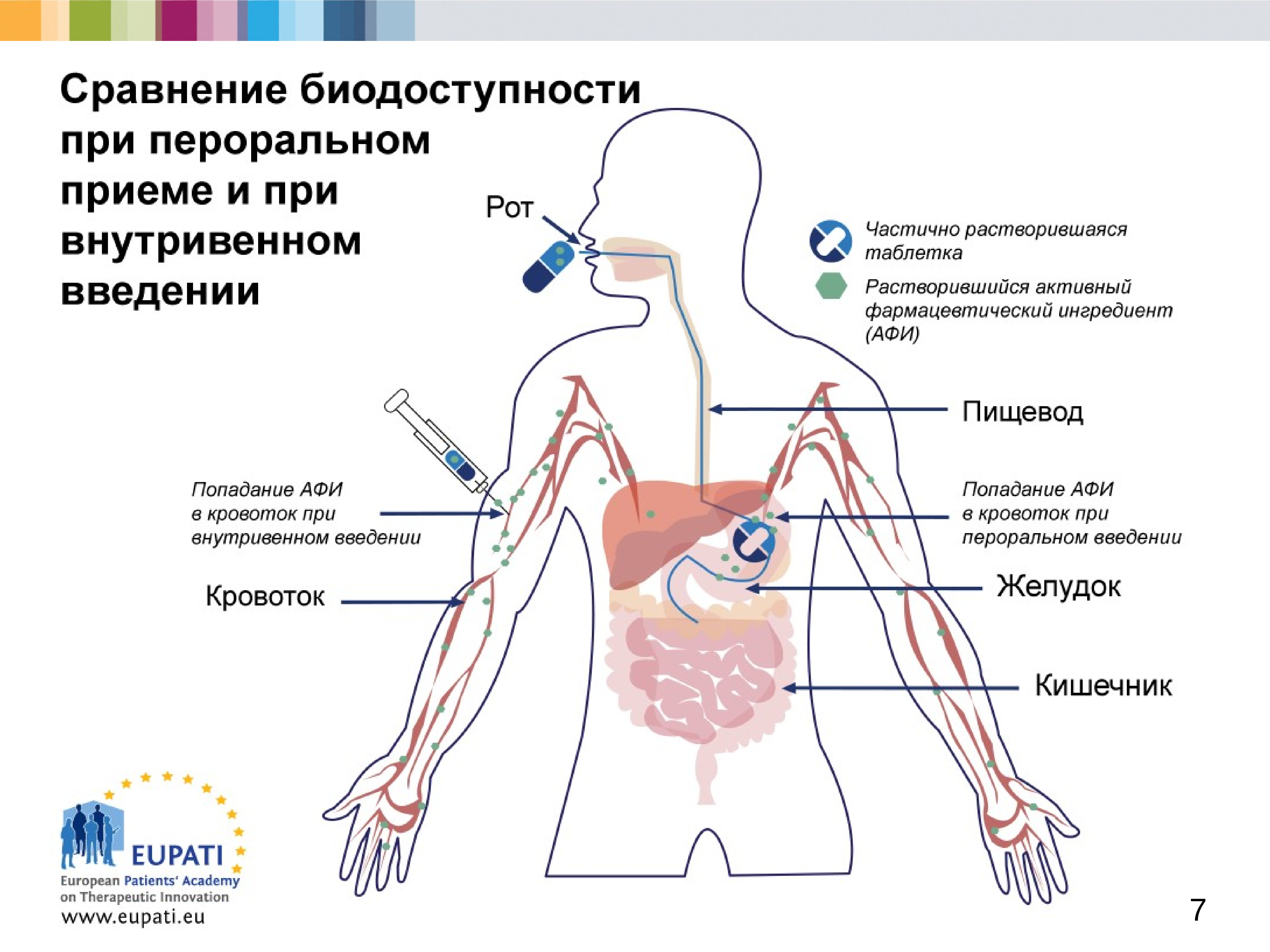 Фармакология настоящее и будущее проект