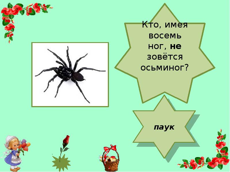 Имея 8. Восемь ног у паука. Паукообразные имеют восемь ног. Насекомое с восьмью ногами. У паука 8 ног значит паук это.