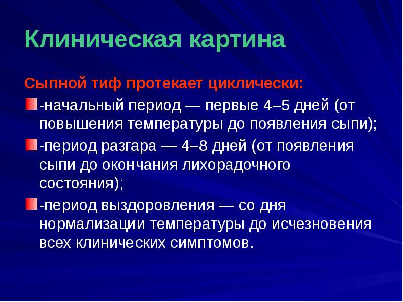 Сыпной тиф презентация