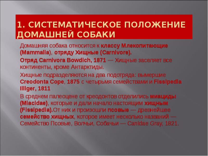1. Систематическое положение домашней собаки
Домашняя собака относится к классу Млекопитающие 1. Систематическое положение домашней собаки
Домашняя собака относится к классу Млекопитающие