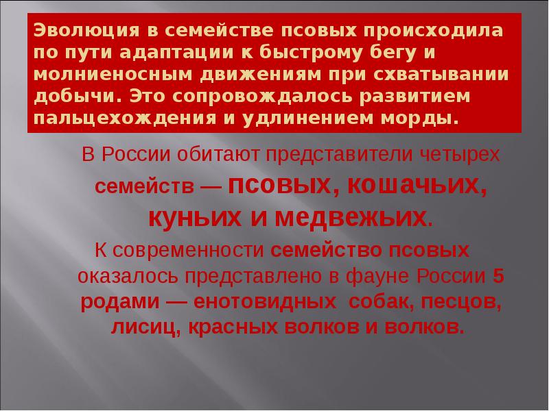 Эволюция в семействе псовых происходила по пути адаптации к быстрому бегу Эволюция в семействе псовых происходила по пути адаптации к быстрому бегу