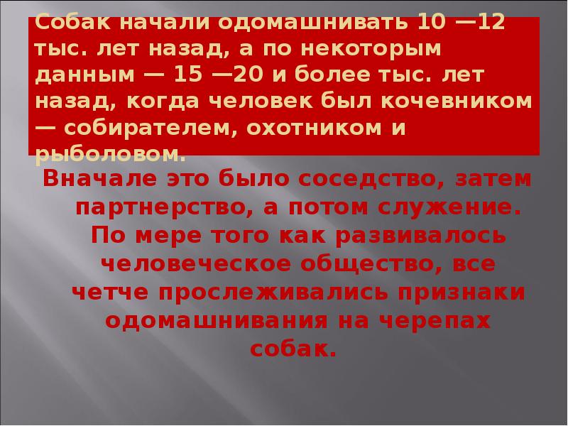 Собак начали одомашнивать 10 —12 тыс. лет назад, а по некоторым Собак начали одомашнивать 10 —12 тыс. лет назад, а по некоторым