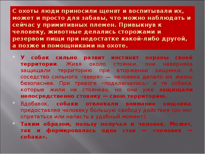 С охоты люди приносили щенят и воспитывали их, может и просто С охоты люди приносили щенят и воспитывали их, может и просто