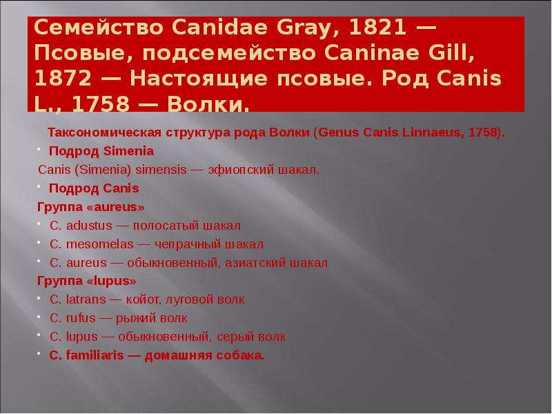Семейство Canidae Gray, 1821 — Псовые, подсемейство Саninае Gill, 1872 — Семейство Canidae Gray, 1821 — Псовые, подсемейство Саninае Gill, 1872 —