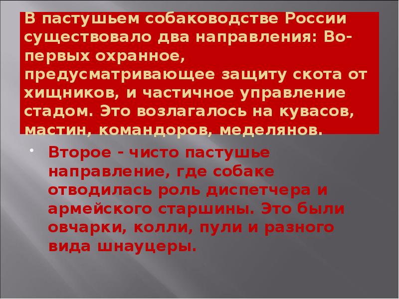 В пастушьем собаководстве России существовало два направления: Во-первых охранное, предусматривающее защиту В пастушьем собаководстве России существовало два направления: Во-первых охранное, предусматривающее защиту