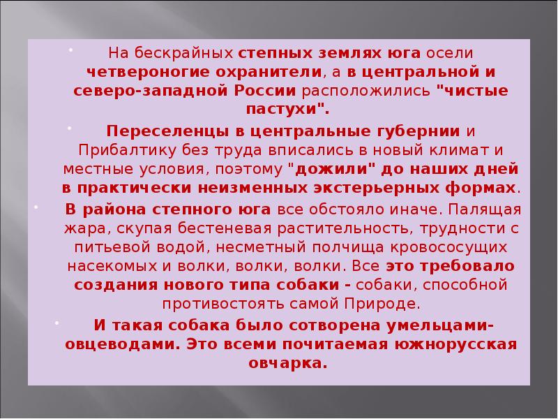 На бескрайных степных землях юга осели четвероногие охранители, а в центральной На бескрайных степных землях юга осели четвероногие охранители, а в центральной