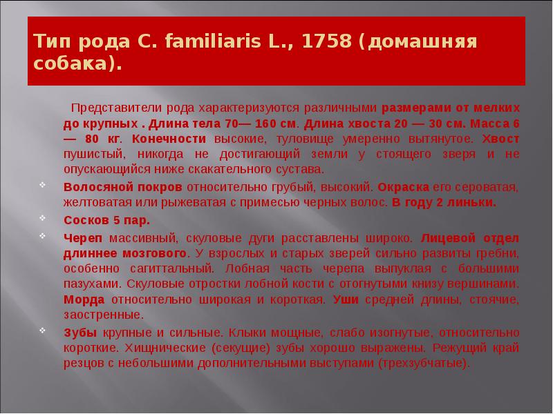 Тип рода С. familiaris L., 1758 (домашняя собака).
Тип рода С. familiaris L., 1758 (домашняя собака).
