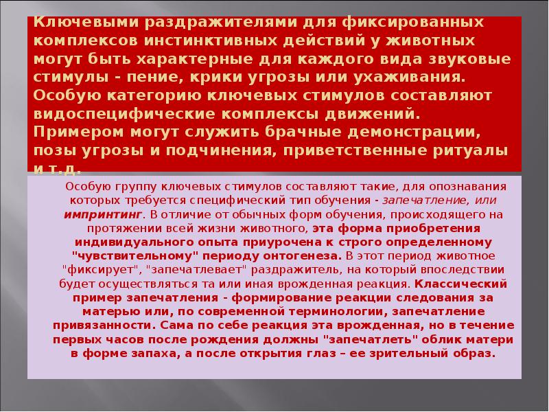 Ключевыми раздражителями для фиксированных комплексов инстинктивных действий у животных могут быть Ключевыми раздражителями для фиксированных комплексов инстинктивных действий у животных могут быть